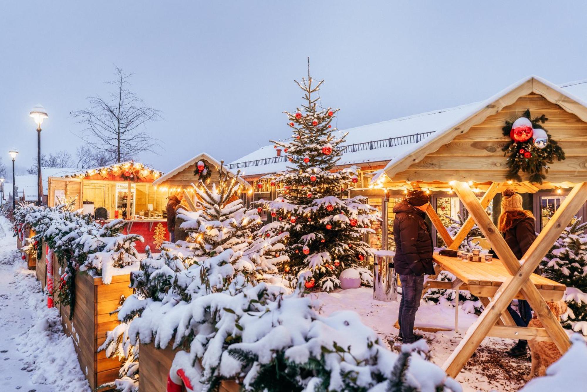 Das Schierke Harzresort 외부 사진
